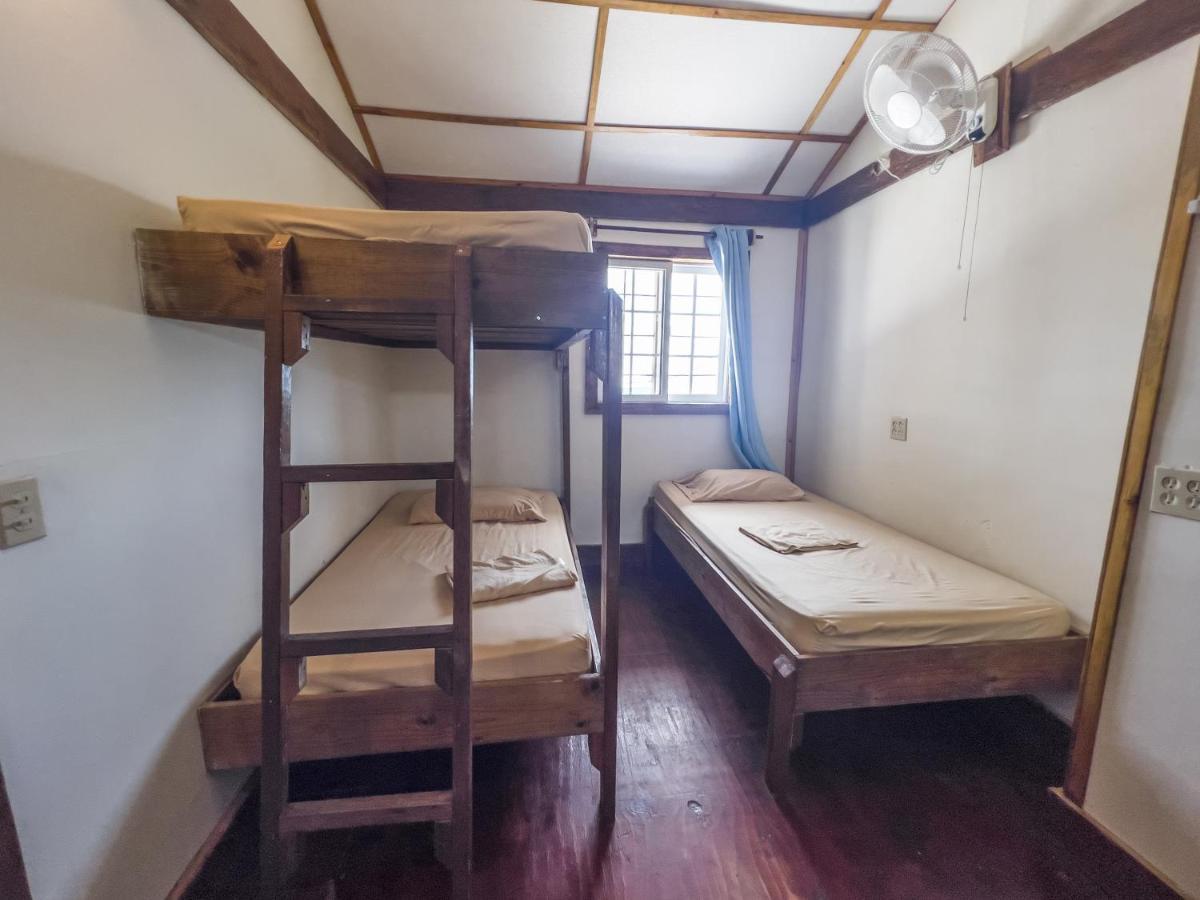Bunk Bed Mixed Dormitory Room